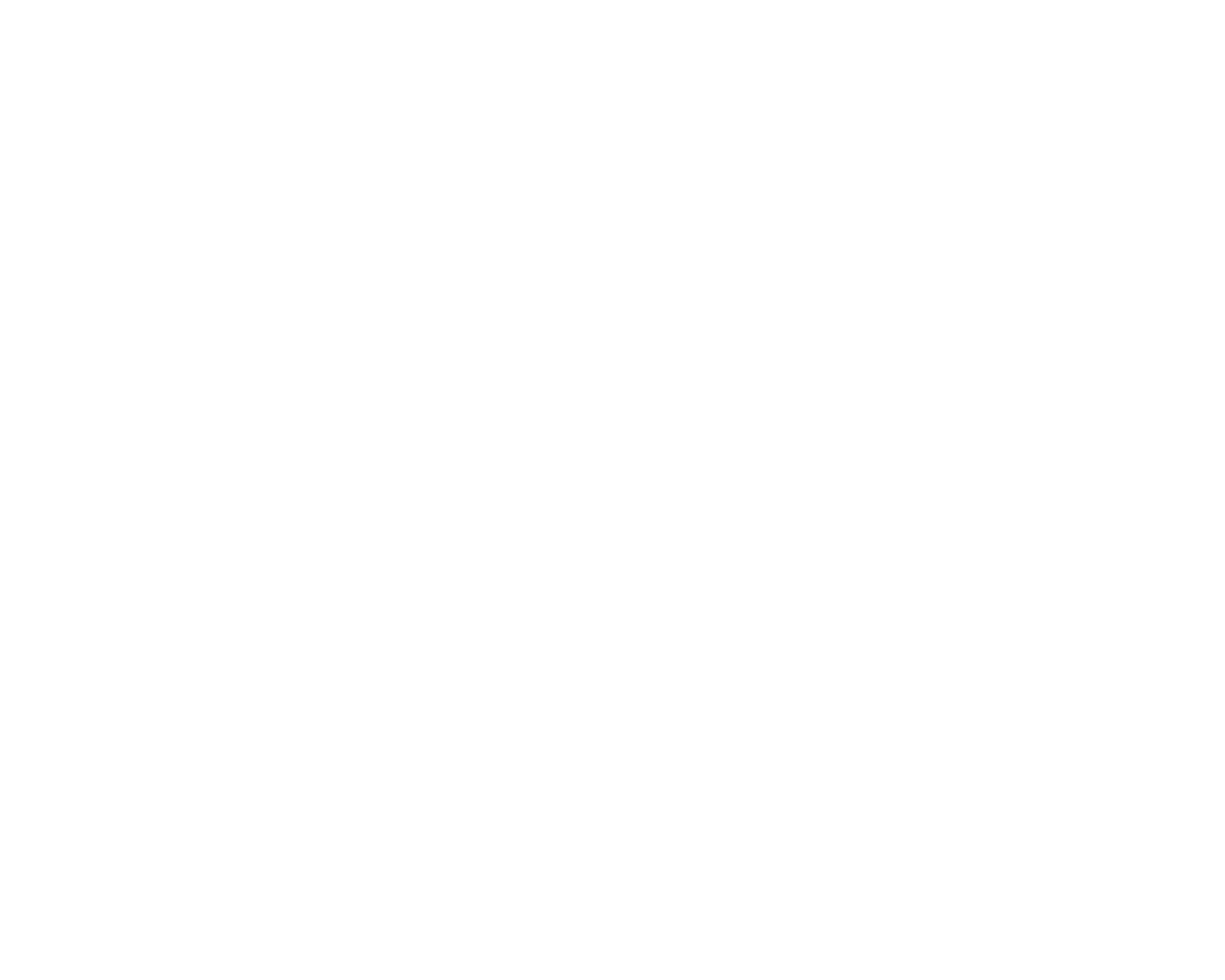 브레인나우 로고